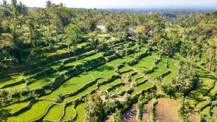 Asan Rinjani Homestay Tetebatu Exterior photo