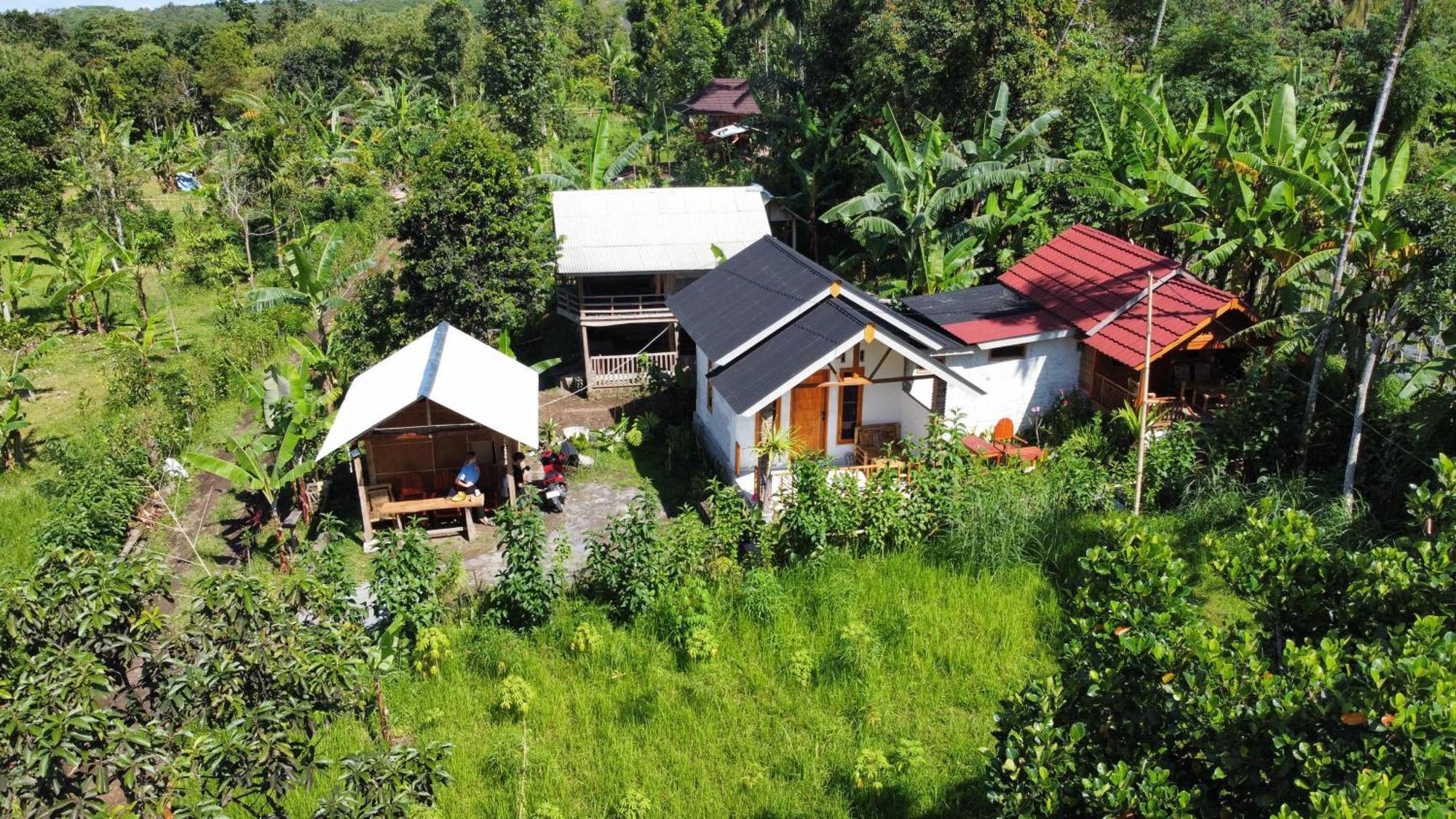 Asan Rinjani Homestay Tetebatu Room photo