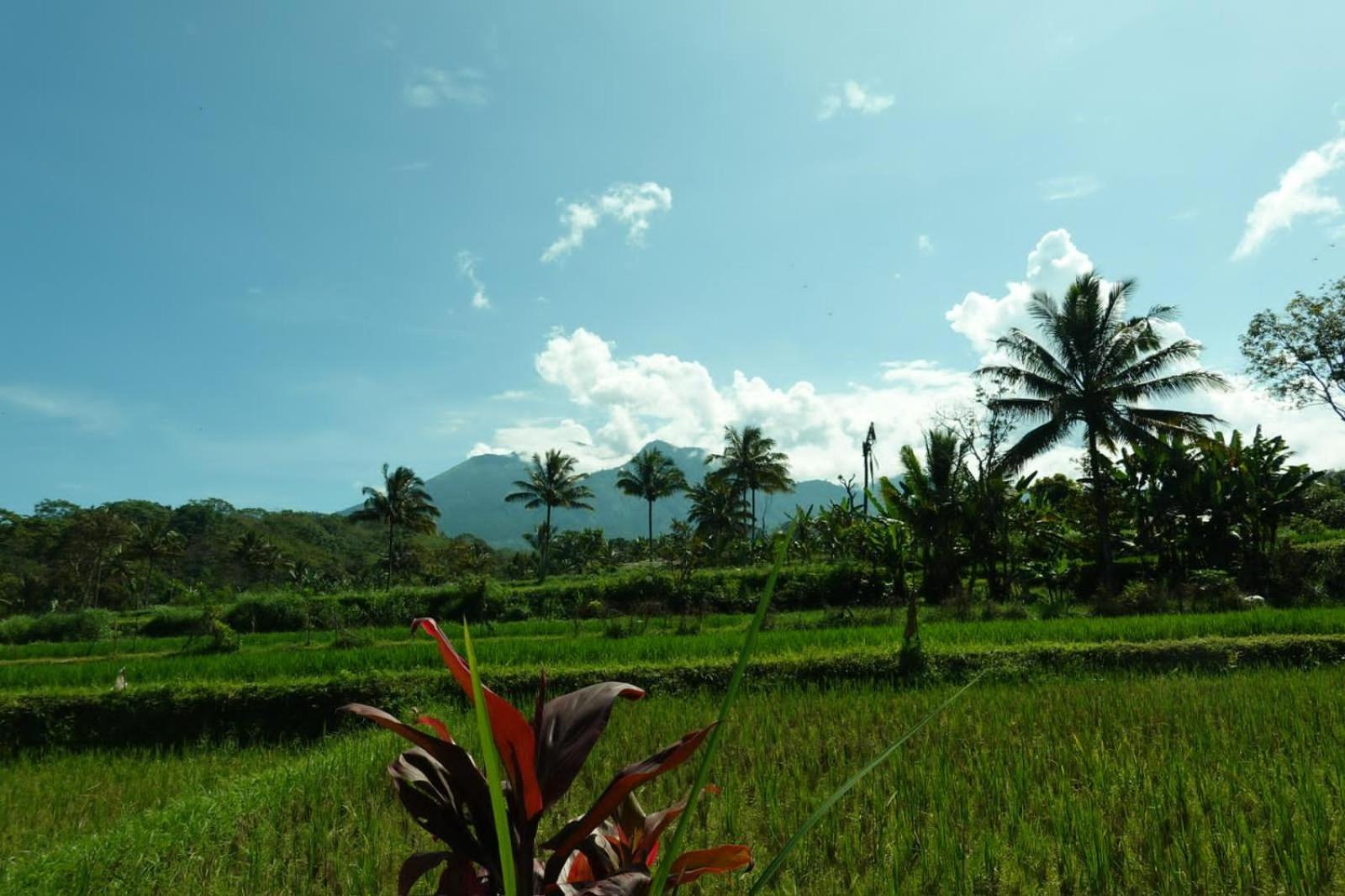 Asan Rinjani Homestay Tetebatu Exterior photo